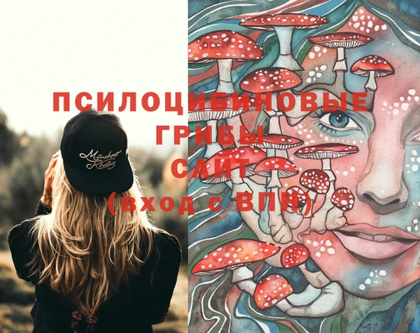 гидра Лихославль