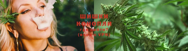 ПСИЛОЦИБИНОВЫЕ ГРИБЫ Лиски