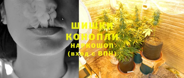 гидра Лихославль