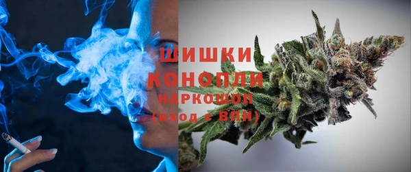 ПСИЛОЦИБИНОВЫЕ ГРИБЫ Лиски