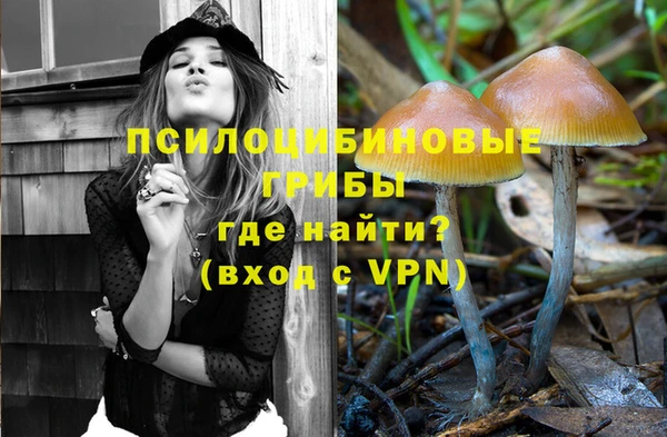 гидра Лихославль