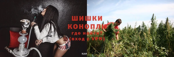 ПСИЛОЦИБИНОВЫЕ ГРИБЫ Лиски